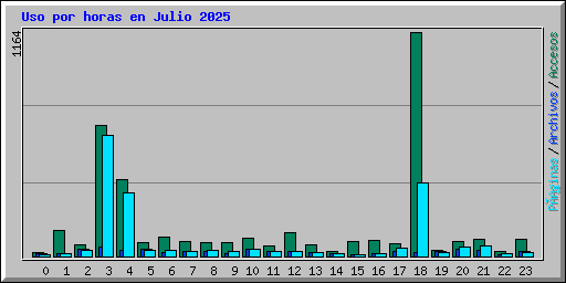 Uso por horas en Julio 2025